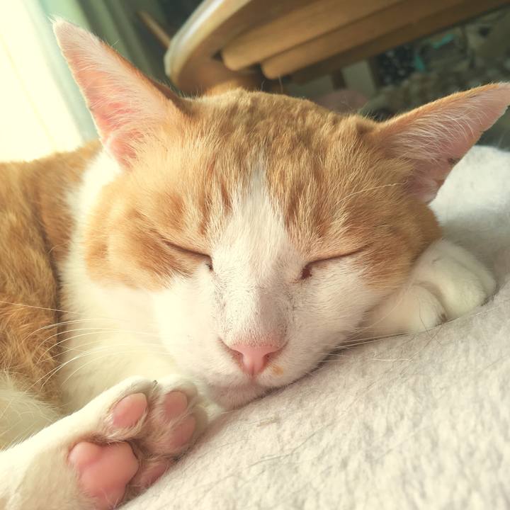 4a4b6ba2 1baf 4f74 ada3 76b97934237c 1561604015173