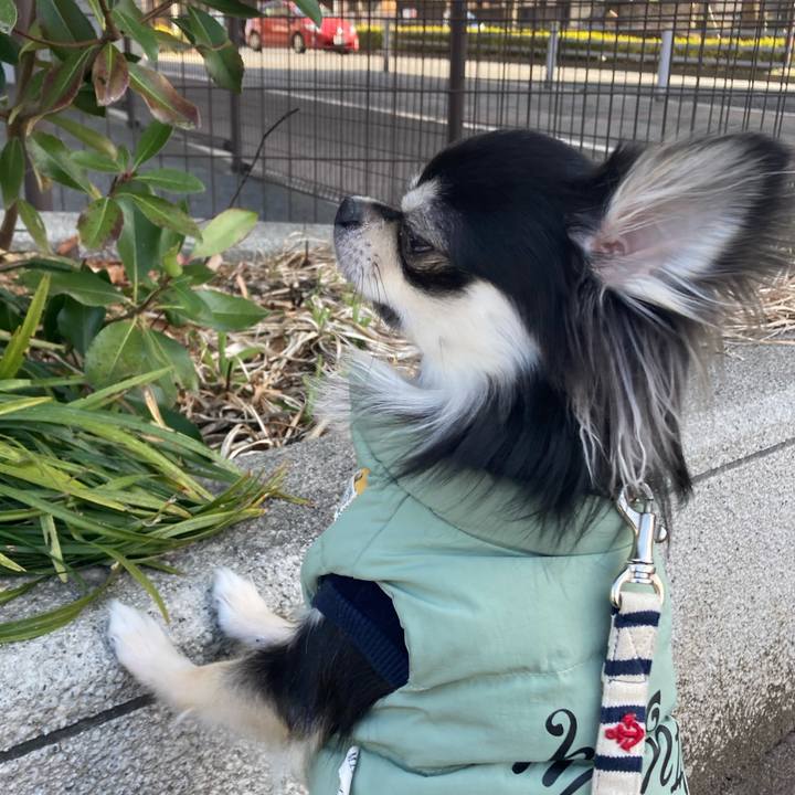 4a4b7a7c 2ab5 4efe b9f1 65697d362462 1614397582208