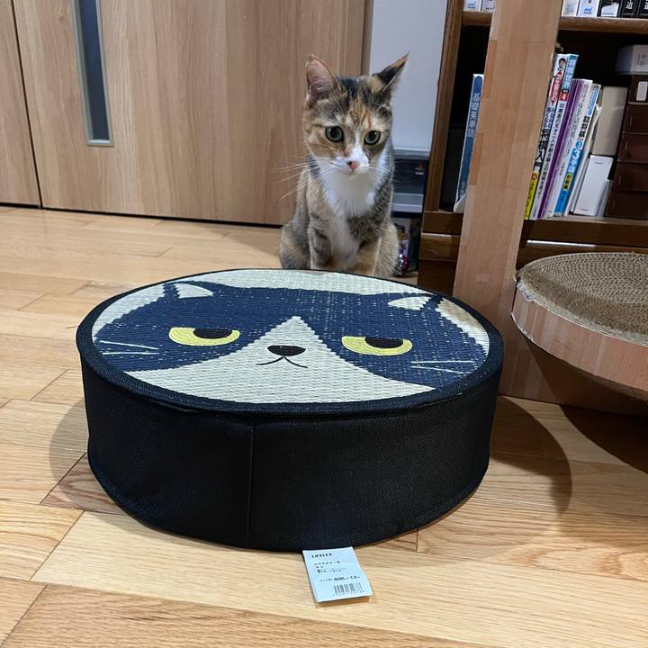 4a4b800a 88f0 4ea9 a758 668e3343f8f1 1722171028531