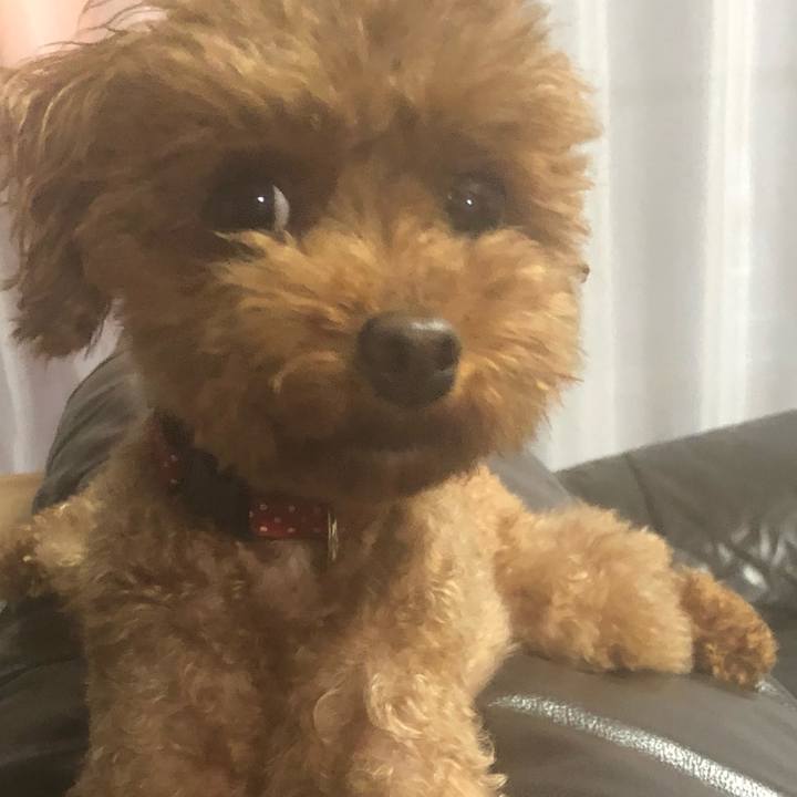 4a4ba3a1 5776 4516 9674 52b74d46e54c 1560333665898