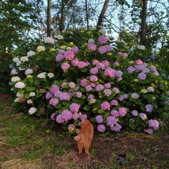 4a4bf7ac 24bc 48e4 a4b7 2f5290fe5a89 1719612630082