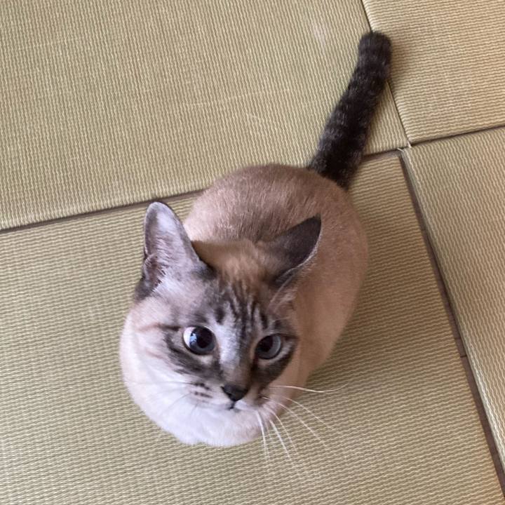 4a4c1414 c65d 4f17 a1c8 807896223391 1738151555695