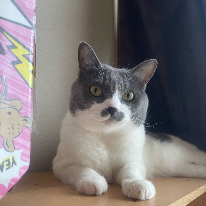 4a4c187f 8f74 4000 a4df b7de69aa9adf 1720824601872