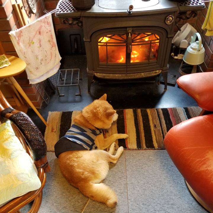 4a4c1f58 f43a 4893 a2b4 bab6cb91509b 1579395619676