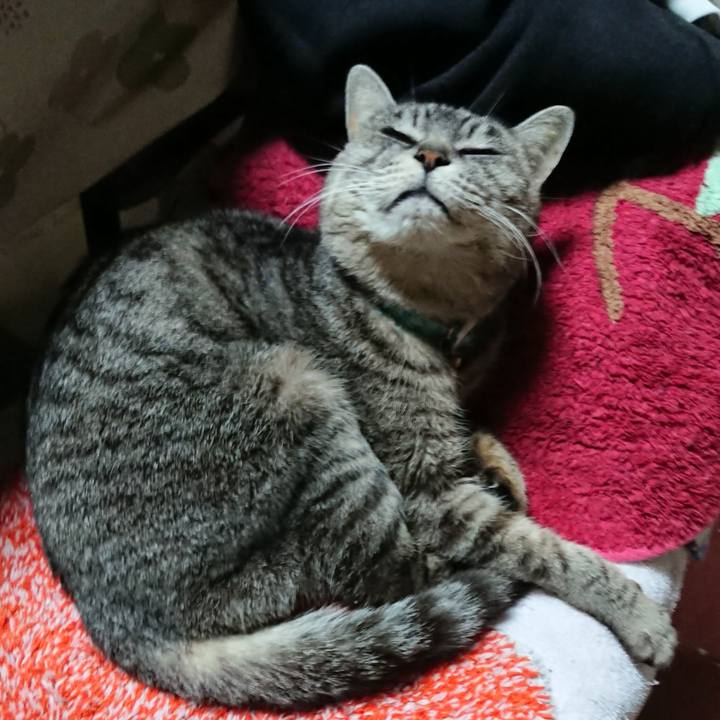 4a4c236b de72 4807 aa22 e79d734c7484 1552648602892