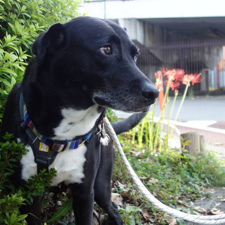 4a4c4747 55ff 41e7 9163 3020b24cfb2f 1663374136061