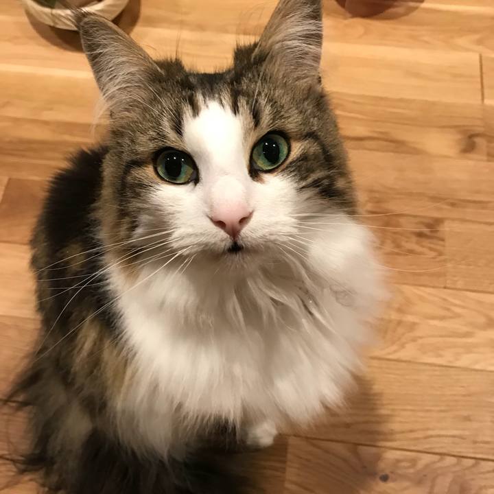 4a4c4d6e 621a 4880 9c08 309d4773becb 1524745649547