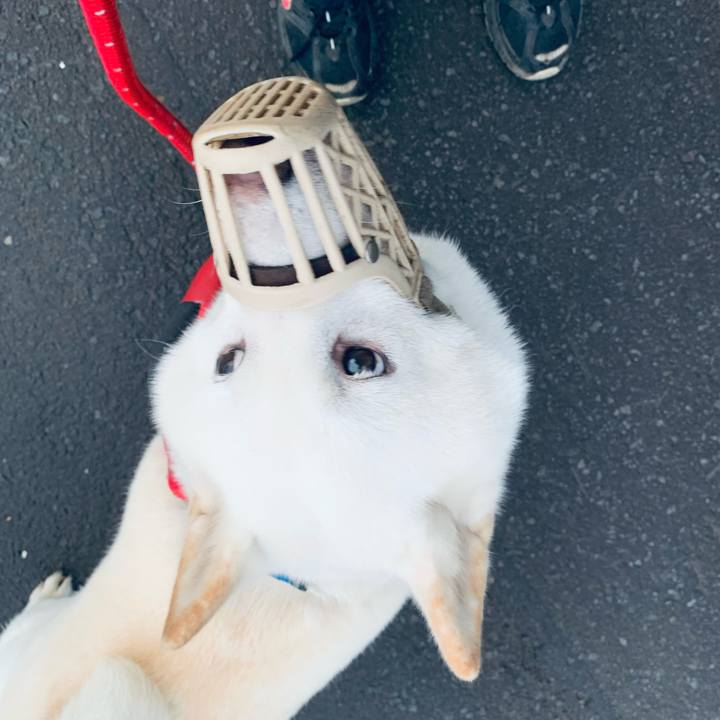 4a4c6e7c e01f 440d b2e4 d8fa08dced38 1662843340235