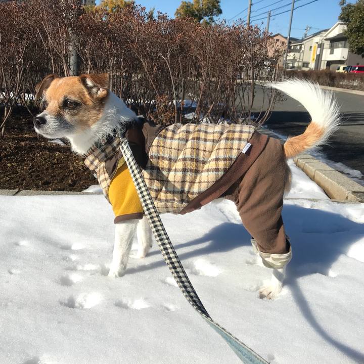 4a4c6eff 277a 4749 8be7 354ab95fef44 1516757925963