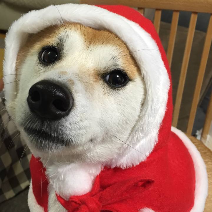 4a4c760c 9702 47b8 b086 85b77c176569 1512721619730