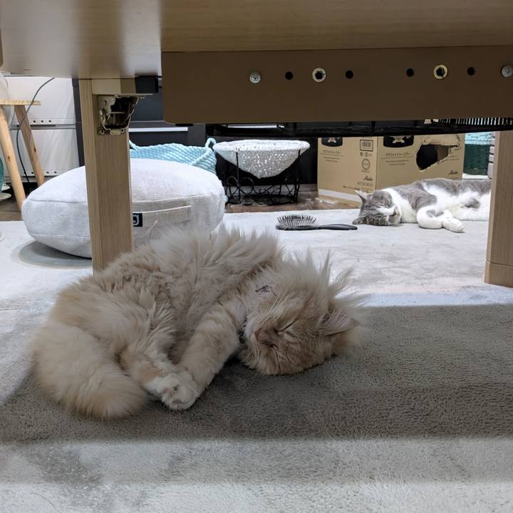 4a4c782e 1d9d 4cec ad8d d6dabda144e2 1749817246890