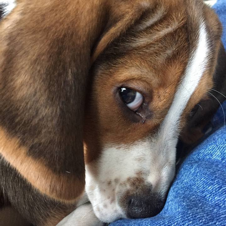 4a4c8d02 88c5 4931 bd9b 52ec3f46809c 1514522728465