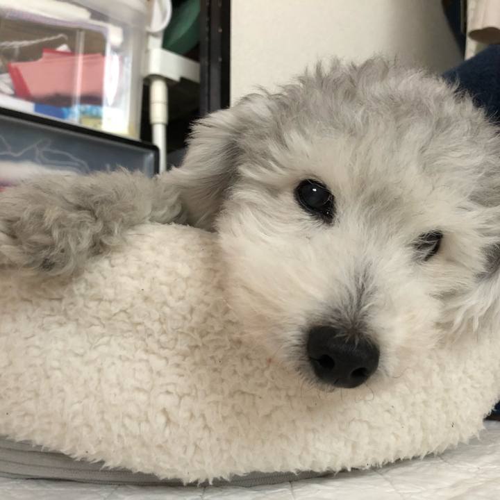 4a4c92c4 7219 4138 899b fc4664976dcc 1602460935690