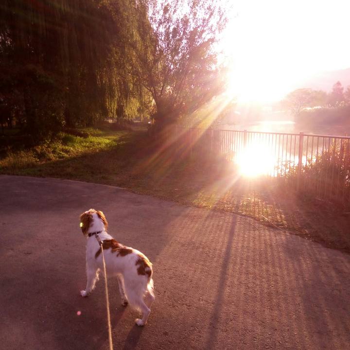 4a4c9f33 fafb 4b04 aa03 bdad4fabaa0a 1511338532415