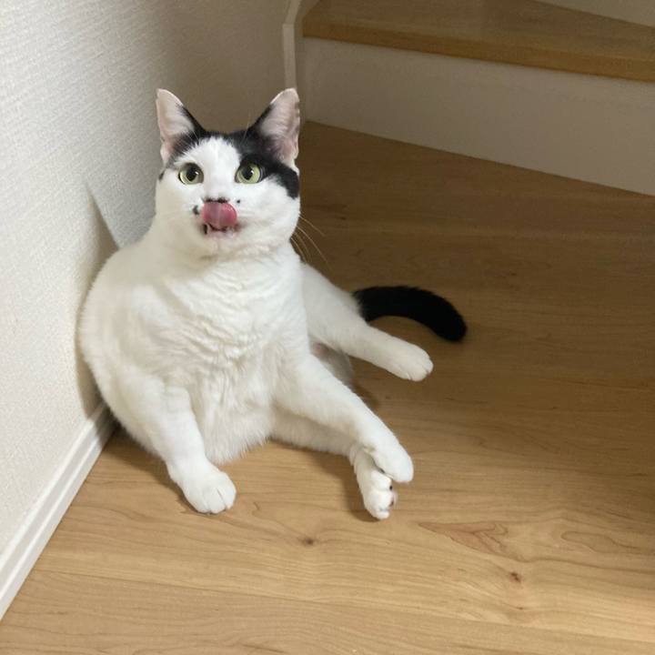 4a4cd6f4 67dc 4a03 aaf9 e230663363a0 1757795406922