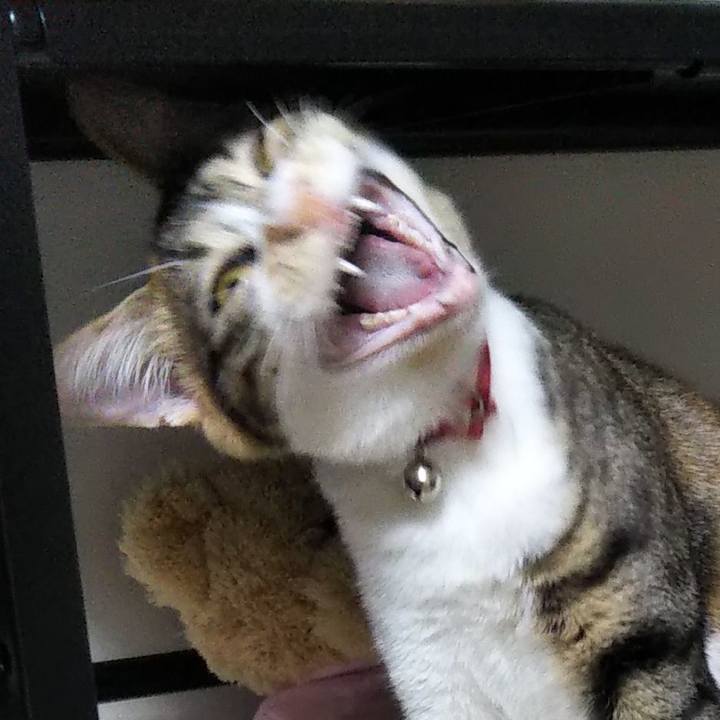 4a4ce304 be2c 407c 978d ee8a1db7bbcc 1638078525156