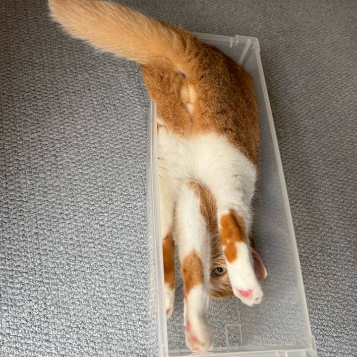 4a4d1a3a ad60 4280 b54e 6c6280e62100 1760581296615