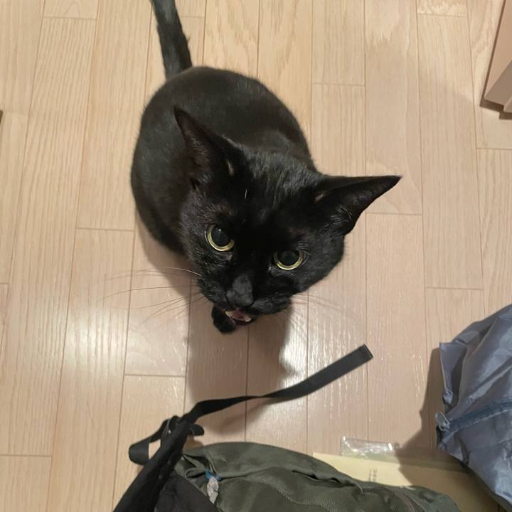 4a4d2c00 acd1 49b8 a26e c02a5578cf28 1775225290212