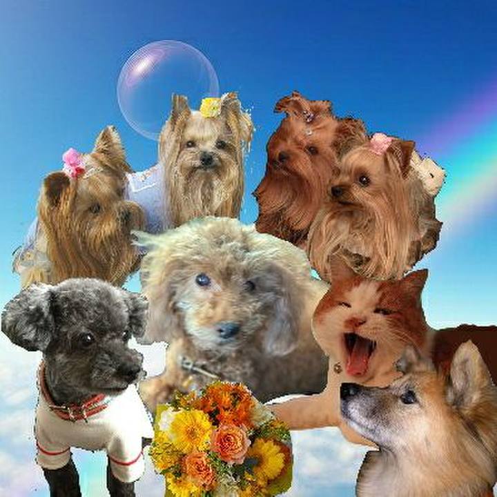 4a4d34e2 5070 4ead 8277 d3902e71d56c 1628081473236