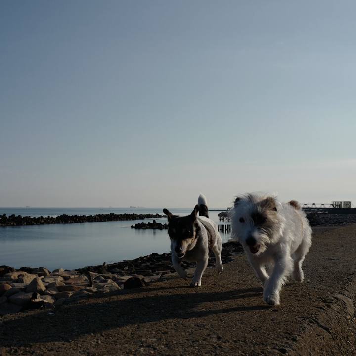 4a4d3ec2 c982 4a11 8100 d8ce4bd55d2e 1557892039052