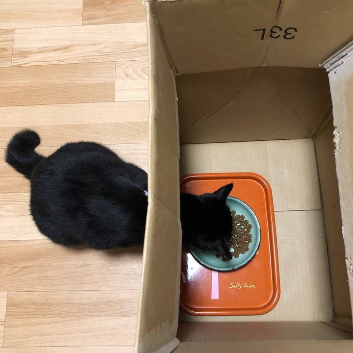 4a4d3eda 20fd 4419 bb0e a7c83e9e7e01 1532325476656