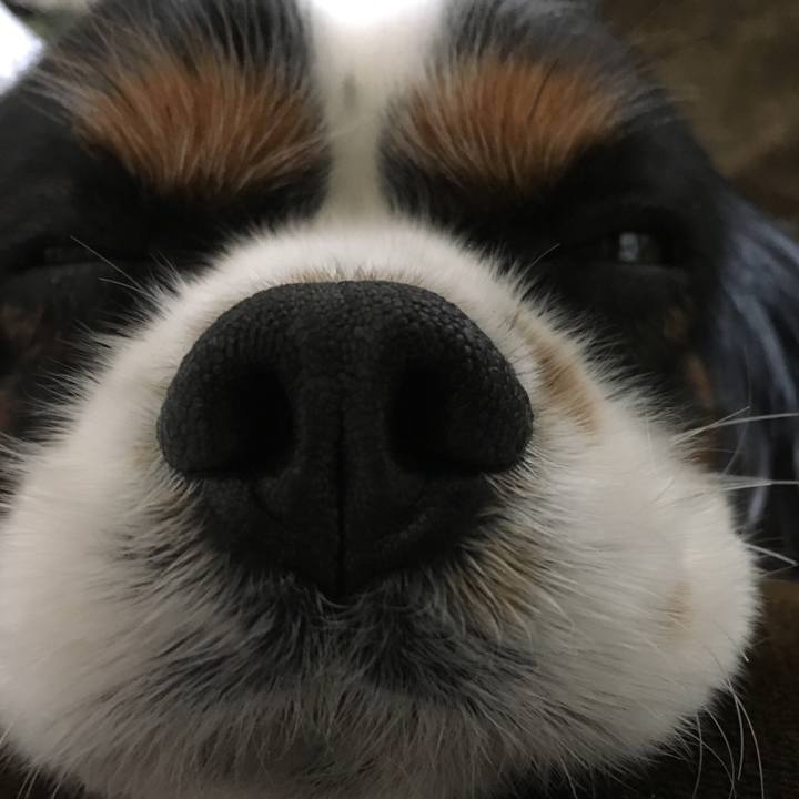 4a4d3f3e 6813 4aec be22 5c127afa7db5 1516014390656