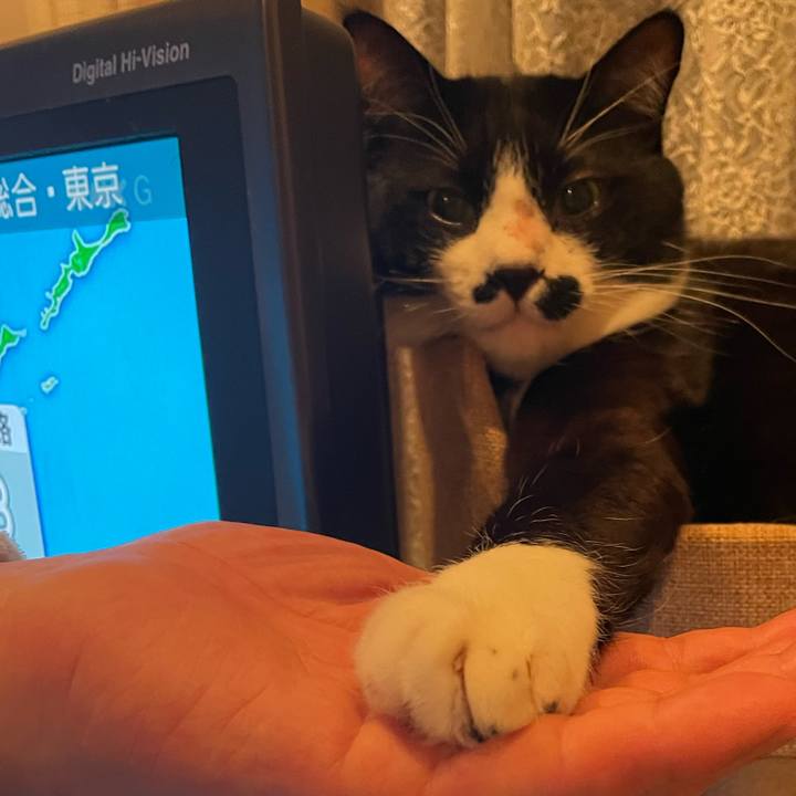 4a4d6b16 1890 4fa2 94ab 2571a2aad225 1744163626073