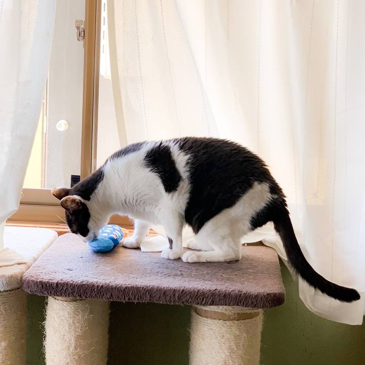 4a4da2f6 aca2 4171 8939 c75f40830a09 1567044048070