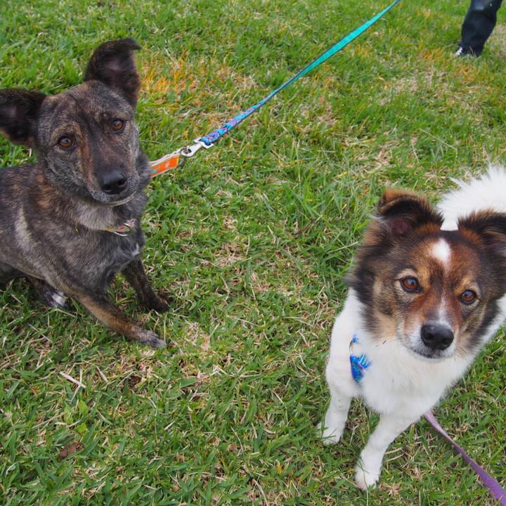 4a4dbd75 656a 49e5 86e6 b04715747c29 1547822007318