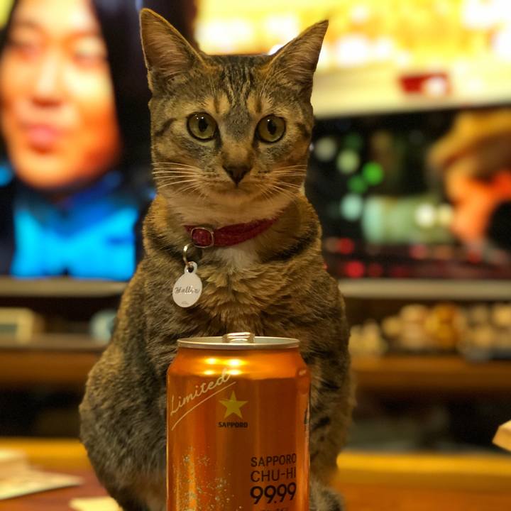 4a4ded2f 8310 4d72 bb08 79fedf409920 1582295602597