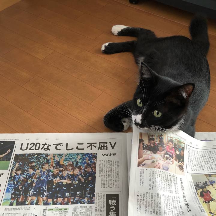 4a4e1923 a4f2 4215 a9b1 36bc7c37305c 1535254537442