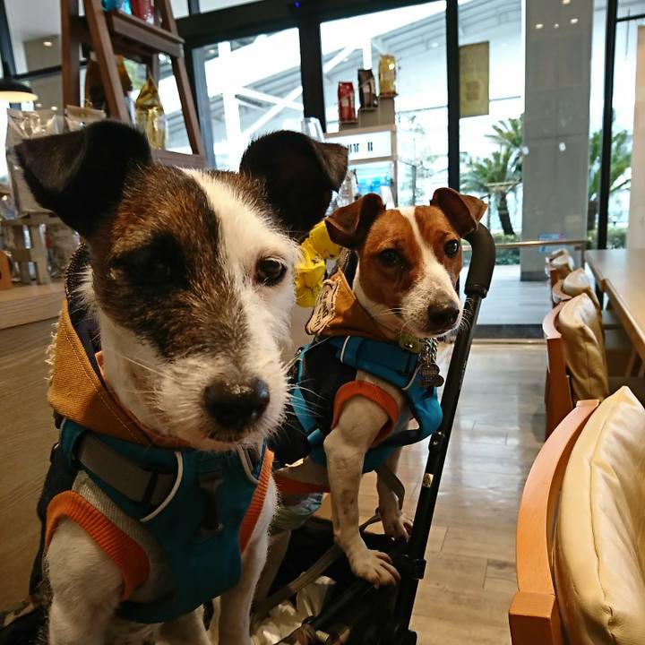 4a4e2b5b 6f95 41c7 9bd2 6ee3837a6cc5 1549950695306