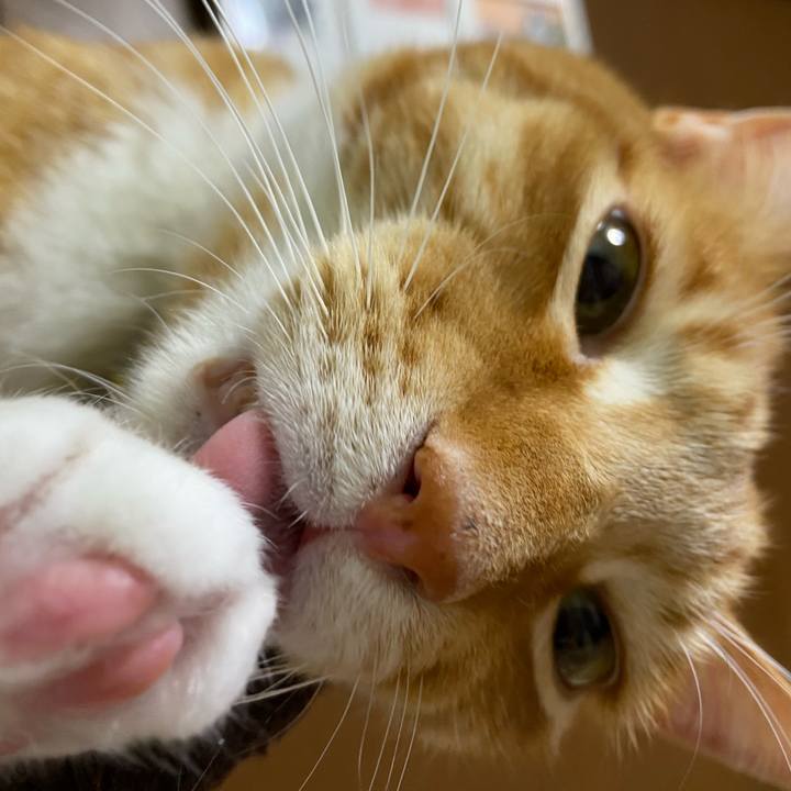 4a4e4514 2773 46f6 bcb6 b00552bab766 1615637024302