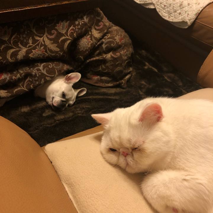 4a4e5920 5bc7 4323 a9d7 d2ec37420ded 1579358290077