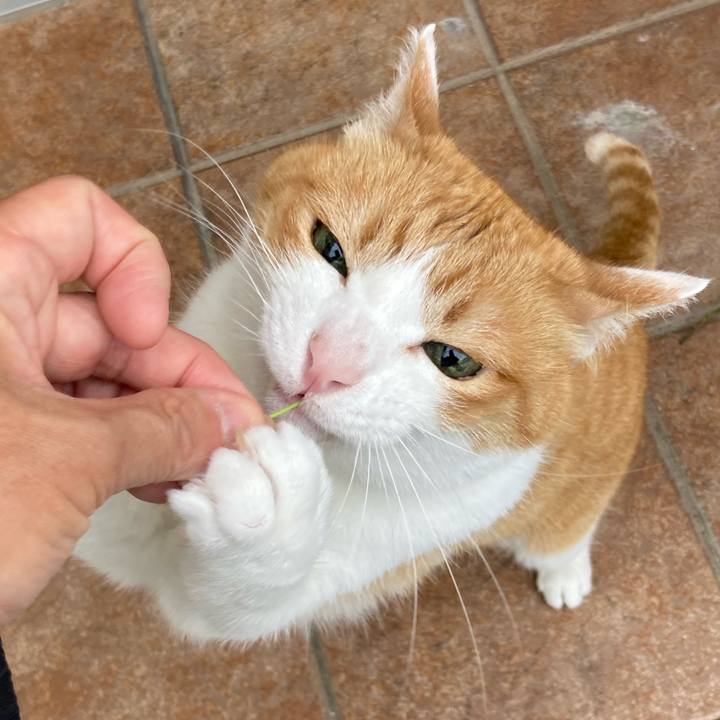 4a4e71ea 9720 4503 8642 355c1a60a6af 1755402623549