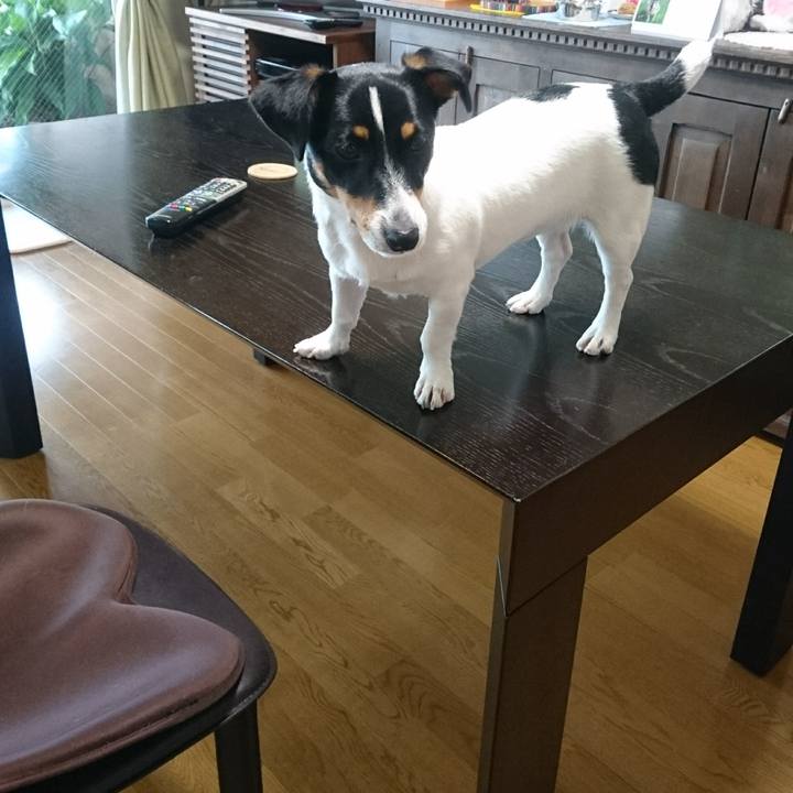 4a4e75f9 0e40 4dfa b91a 2c5a47f5aa5e 1529454647365