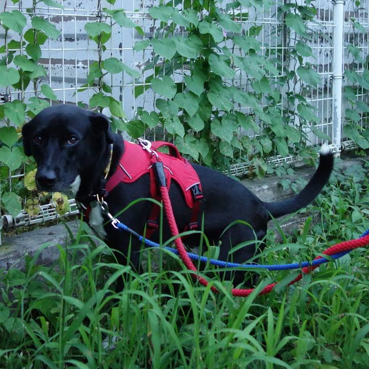 4a4ea098 0ec5 4f45 a39e 29810d7e7318 1596364161446