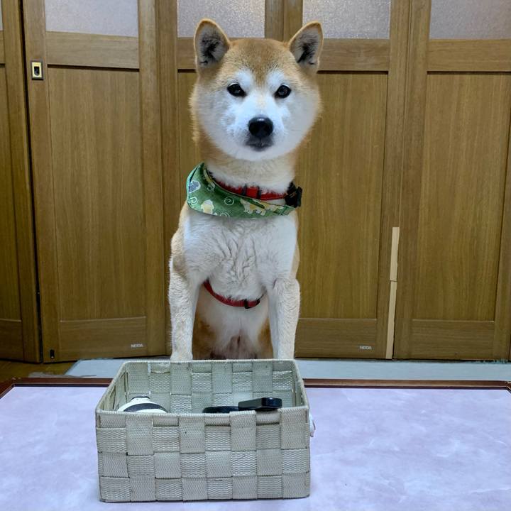 4a4ea16d beab 46bc 9e06 fc46464c31f2 1613038435242