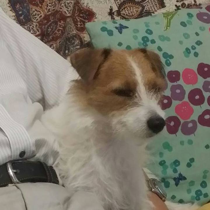 4a4eb8d8 8e9d 461b bd7d 065980a288c7 1536880494947