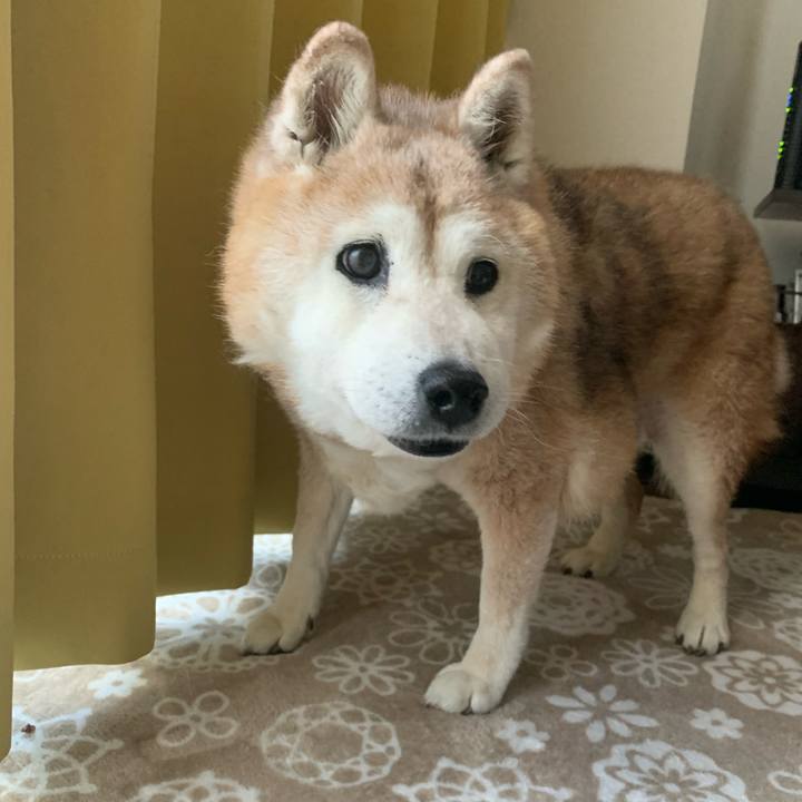 4a4ec012 ef62 4803 90ed 9af6c3416c59 1691018547584