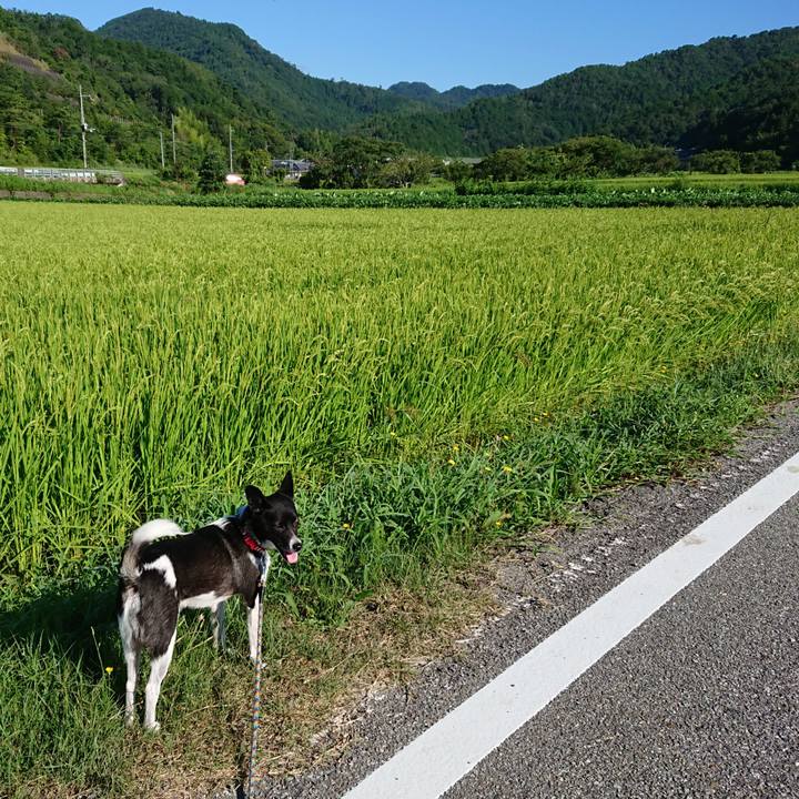 4a4ed01e 21e4 4abb 898e 8d93320ae910 1565321420028