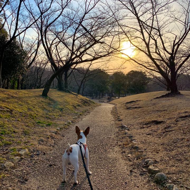 4a4eec3a 8602 44ed 9c98 86b13960643a 1551519443573