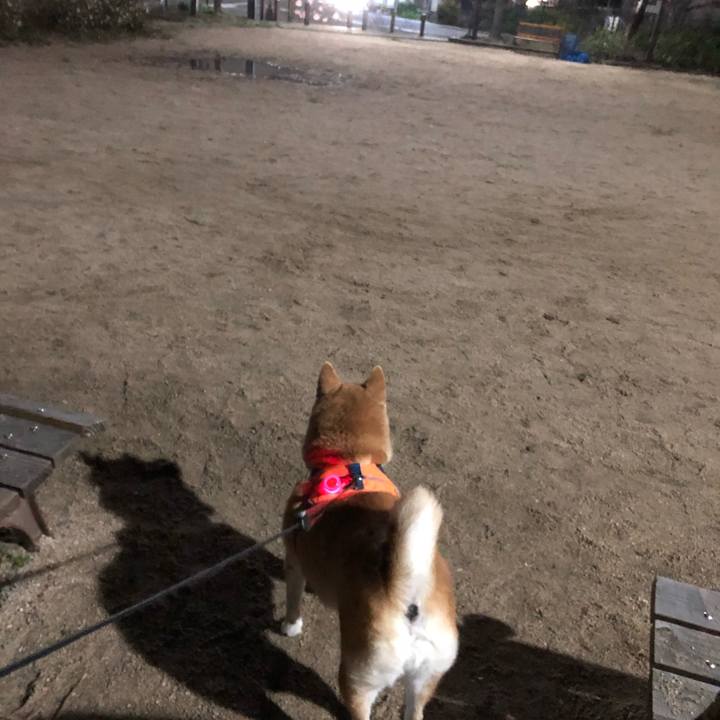 4a4efedf 21c4 43f0 a893 8f69d6642caf 1583670261280