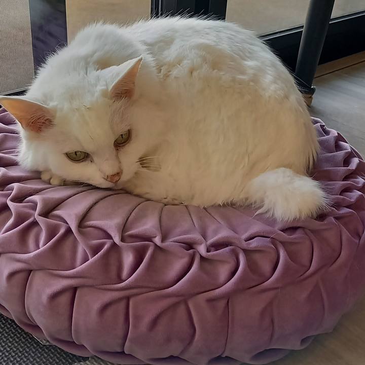 4a4f6f32 59b5 4839 ae0c da9254c04a1b 1643090049893