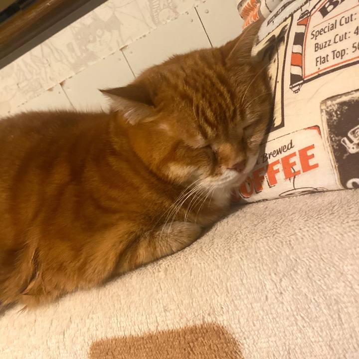 4a4faee8 80ff 4331 8a59 b85034d76e06 1683545090246