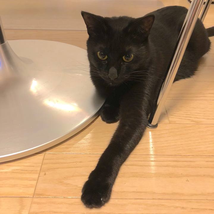 4a4fb2e8 382c 42c4 90c3 acc2cd45f4b7 1520340779987