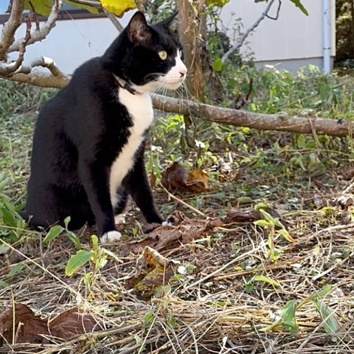 4a4fb69c ce88 4b49 8fa4 d791c61bfee3 1759649052665