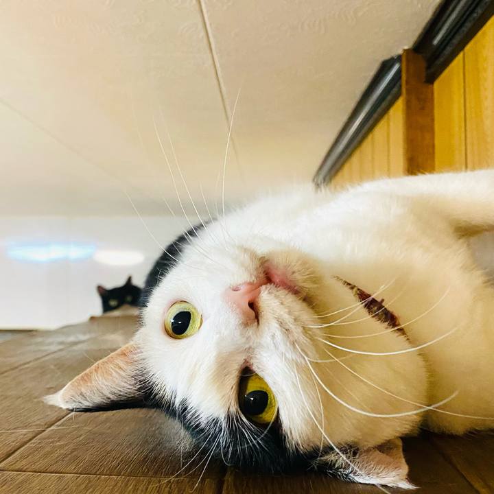 4a4fd4a5 3239 4afd ab14 53d90ada70a7 1660653064837