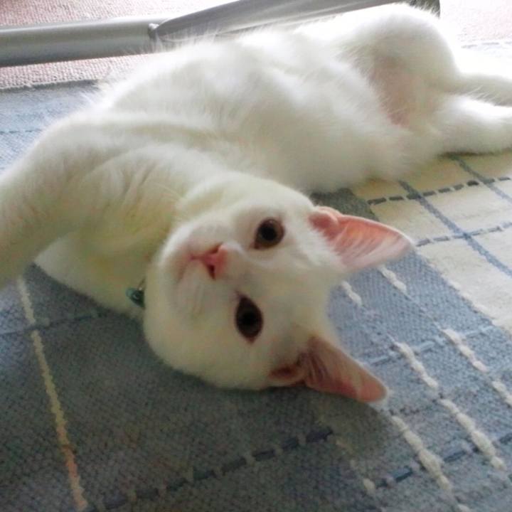 4a4fdcf2 3898 40c4 833f 1dd3e716be57 1510006621262