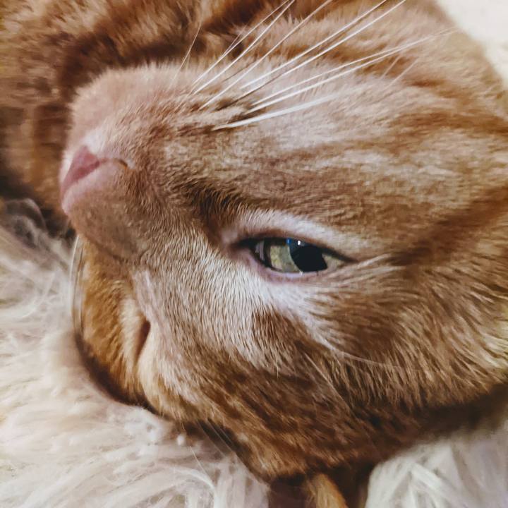 4a4fdf5e 0683 43f7 a50a 8ef7278bb89b 1653295934563